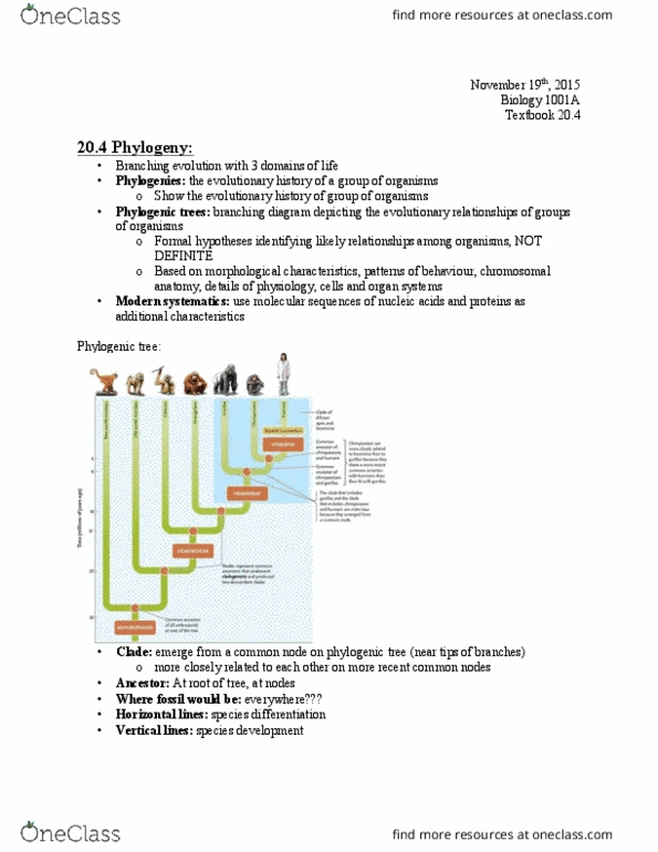 Biology 1001A Chapter Notes - Chapter 20: Evolutionary Developmental Biology, Pax6, Paraphyly thumbnail