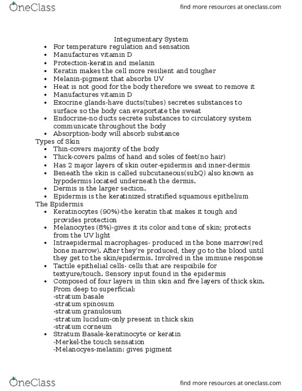 ANAT 101 Lecture Notes - Lecture 3: Melanoma, Eccrine Sweat Gland, Sunburn thumbnail