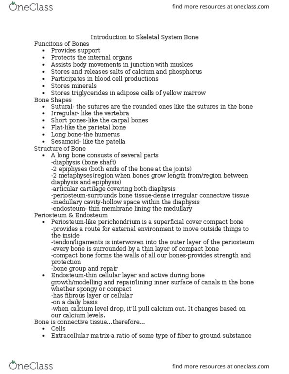 ANAT 101 Lecture Notes - Lecture 6: Central Canal, Osteon, Calcium Hydroxide thumbnail