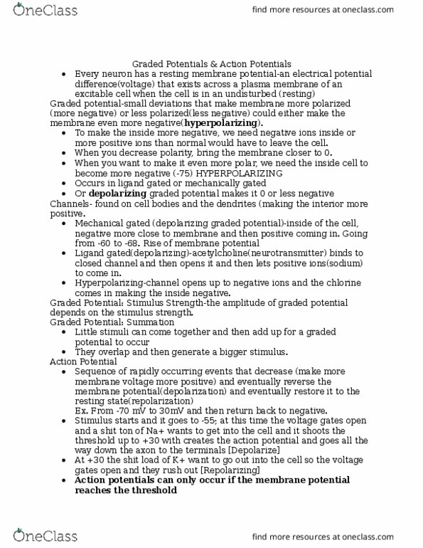 ANAT 101 Lecture Notes - Lecture 11: Stone Skipping, Myelin, Membrane Potential thumbnail