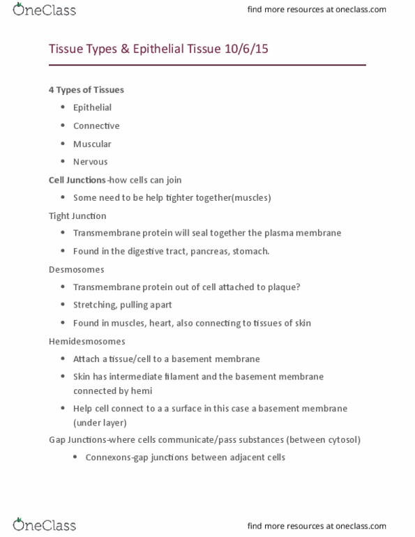 ANAT 101 Lecture Notes - Lecture 12: Kidney Stone Disease, Bronchus, Fallopian Tube thumbnail