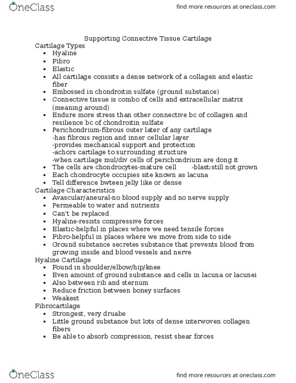 ANAT 101 Lecture Notes - Lecture 14: Epiglottis, Chondroblast, Mitosis thumbnail