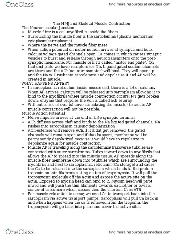 ANAT 101 Lecture Notes - Lecture 15: Troponin, Active Transport, Sarcomere thumbnail