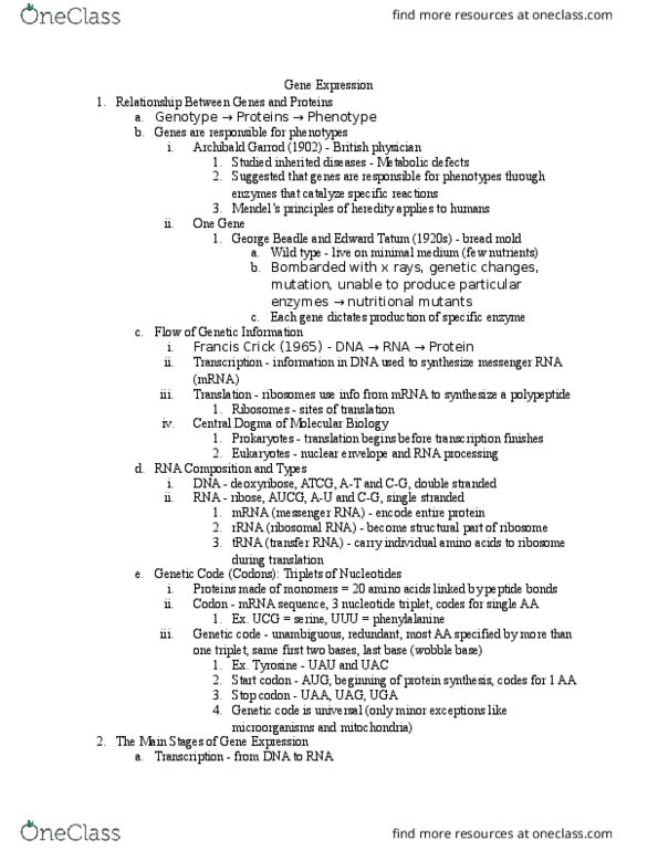 01:119:115 Lecture Notes - Lecture 15: Ribozyme, Spliceosome, Covalent Bond thumbnail