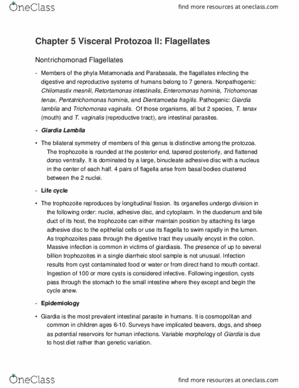 01:146:328 Lecture Notes - Lecture 3: Pseudopodia, Hydrogenosome, Gonorrhea thumbnail