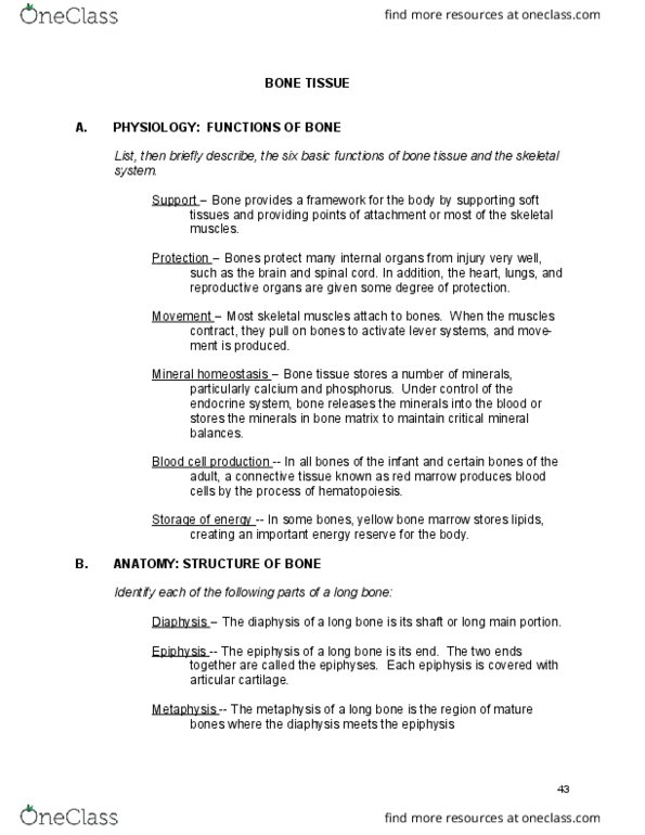 BIO 240 Lecture Notes - Lecture 5: Canal A, Ultimate Tensile Strength, Ground Substance thumbnail