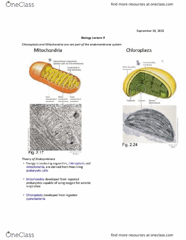 BI110 Lecture Notes - Lecture 9: Fatty Acid Metabolism, Horizontal Gene Transfer, Endomembrane System thumbnail