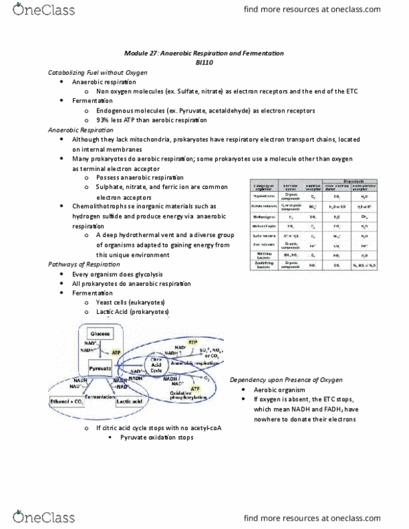 BI110 Chapter Notes - Chapter 27: Superoxide Dismutase, Facultative Anaerobic Organism, Reactive Oxygen Species thumbnail