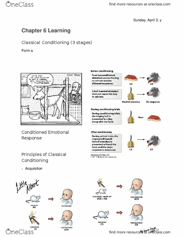 PSY 100 Lecture Notes - Lecture 6: Confirmation Bias, Learning, Reinforcement thumbnail