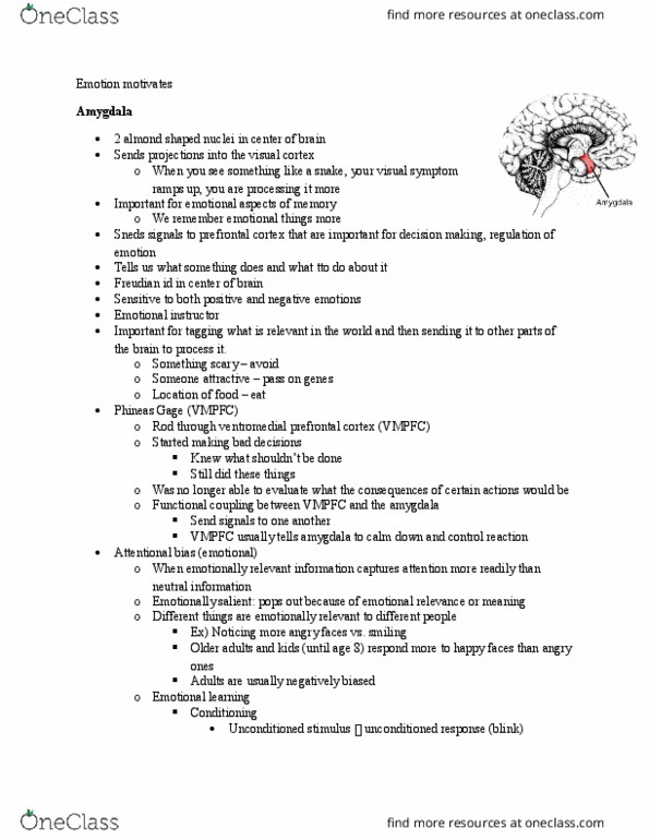 PSYC 301 Lecture Notes - Lecture 1: Method Acting, Posttraumatic Stress Disorder, Ventromedial Prefrontal Cortex thumbnail