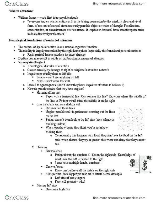 PSYC 301 Lecture Notes - Lecture 6: Cholinergic, Cerebrospinal Fluid, Transcranial Magnetic Stimulation thumbnail