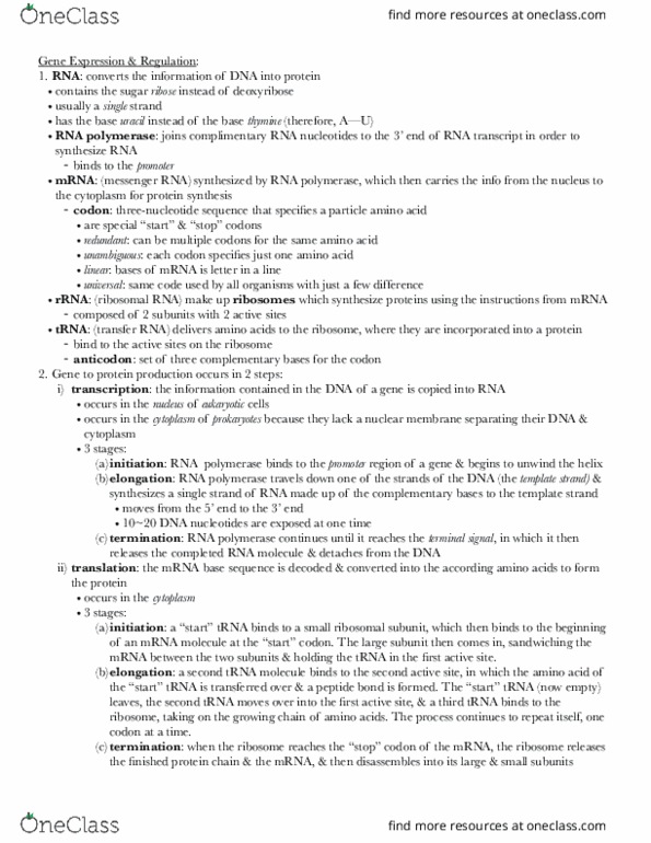 BIOL 150B Chapter Notes - Chapter 12: Uracil, Ribosomal Rna, Messenger Rna thumbnail