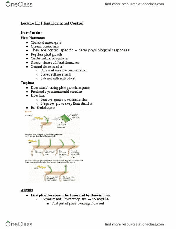 01:119:116 Lecture Notes - Lecture 11: Endosperm, Abscission, Digestive Enzyme thumbnail