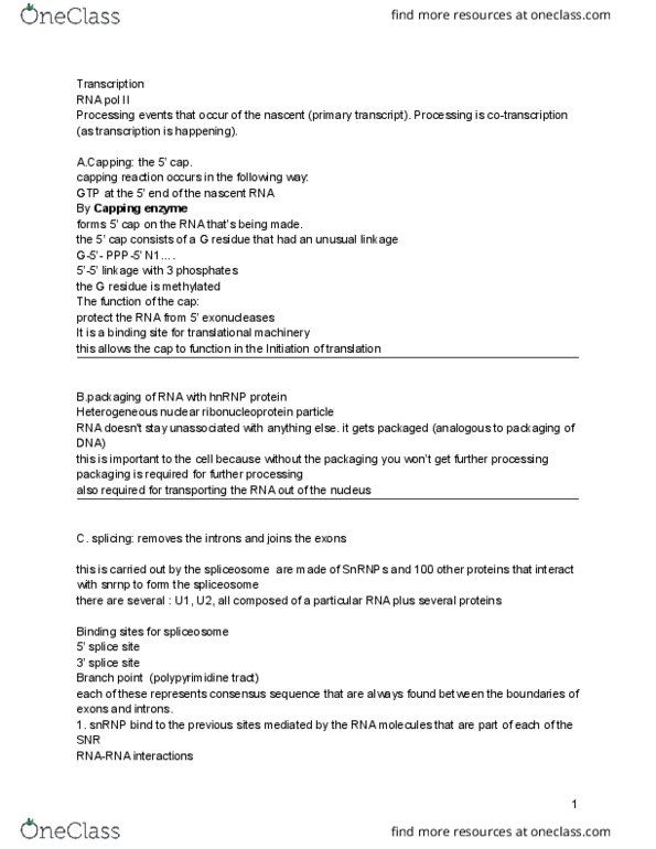 BSCI-1510 Lecture Notes - Lecture 33: Endonuclease, Phosphodiester Bond, Adenine thumbnail