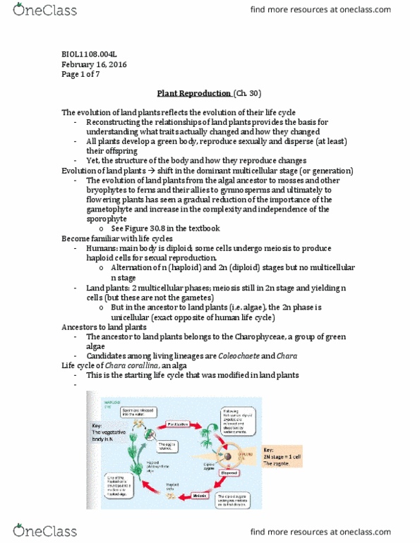 BIOL 1108 Lecture Notes - Lecture 9: Double Fertilization, Seed Dormancy, Phytochrome thumbnail