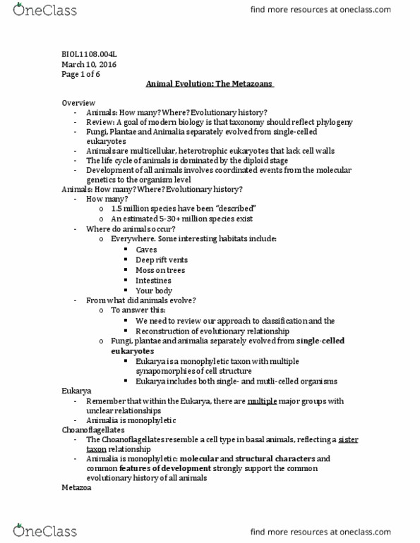 BIOL 1108 Lecture Notes - Lecture 16: Blastula, Flatworm, Gastrulation thumbnail