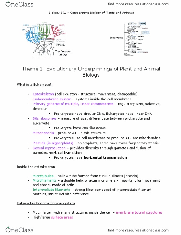 BIOL 371 Lecture Notes - Lecture 2: Lophophore, Starfish, Chordate thumbnail