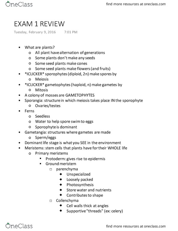 BIOL 1015 Lecture Notes - Lecture 1: Root, Gametophyte, Thigmotropism thumbnail