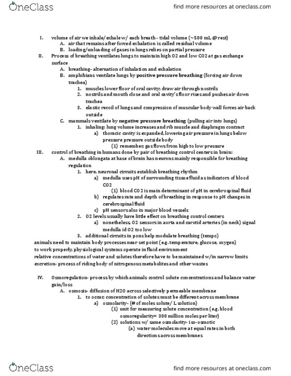 01:119:116 Lecture Notes - Lecture 28: Renal Cortex, Proximal Tubule, Purine thumbnail