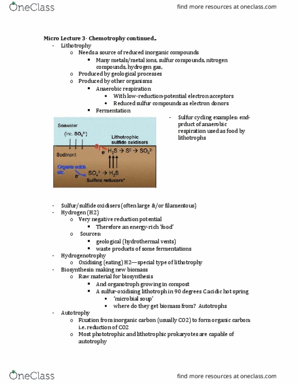 BIOL 2004 Lecture Notes - Lecture 15: Cell Envelope, Actinobacteria, Nucleoid thumbnail