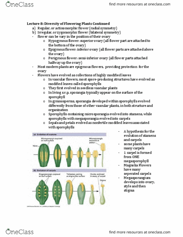 BIOL 2004 Lecture Notes - Lecture 8: Hemeprotein, Soil Fertility, Intercropping thumbnail