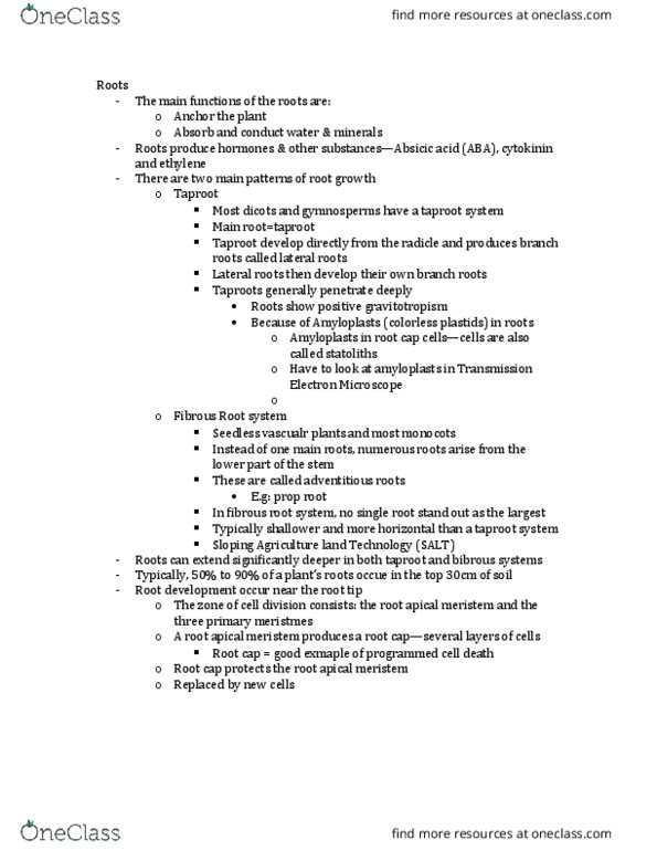 BIOL 2004 Lecture Notes - Lecture 10: Casparian Strip, Palisade Cell, Pericycle thumbnail