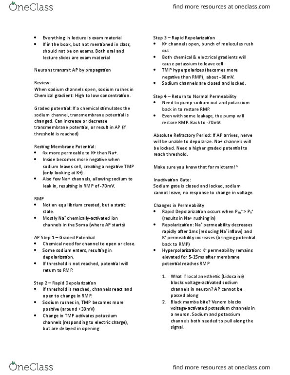 APA 2312 Lecture Notes - Lecture 4: Motor Control, Sarcolemma, Axon Terminal thumbnail