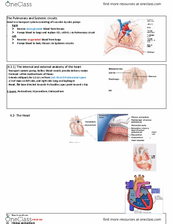 1z0-1105-22 Exam Format