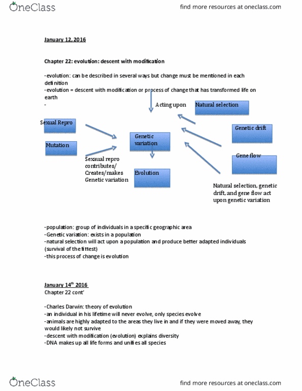 BIOL 102 Lecture Notes - Lecture 1: Sickle-Cell Disease, Missense Mutation, Zygosity thumbnail