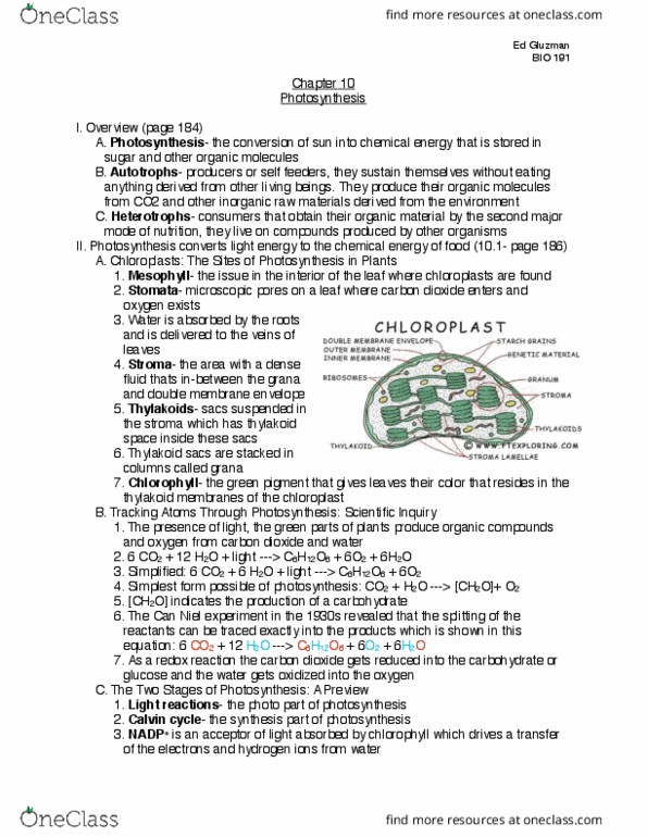 BIO 191 Chapter Notes - Chapter 10: Mitochondrion, Rubisco, Pyruvic Acid thumbnail