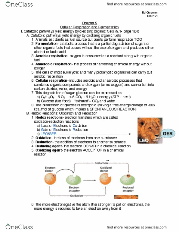 BIO 191 Chapter Notes - Chapter 9: Facultative Anaerobic Organism, Atp Synthase, Electrochemical Gradient thumbnail