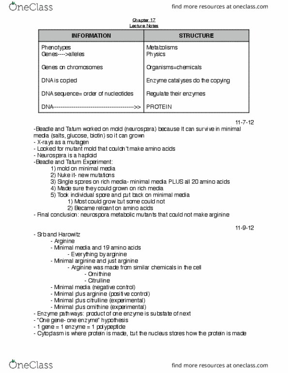 BIO 191 Lecture Notes - Lecture 17: Transfer Rna, Spliceosome, Nonsense Mutation thumbnail