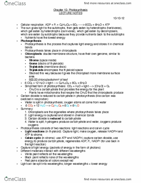 BIO 191 Lecture Notes - Lecture 10: Photosystem I, 3-Phosphoglyceric Acid, Photosystem Ii thumbnail