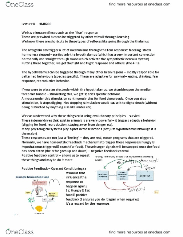 HMB200H1 Lecture Notes - Lecture 9: Pair Bond, Arginine, Pituitary Gland thumbnail