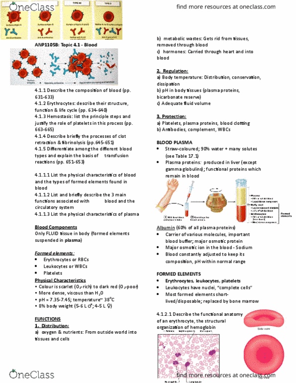 ANP 1105 Lecture Notes - Lecture 4: Abo Blood Group System, Thrombus, Rhesus Macaque thumbnail