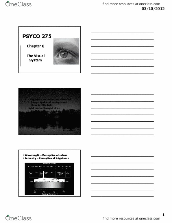 PSYCO275 Lecture Notes - Lecture 5: Ganglion Cell Layer, Far-Sightedness, Scotopic Vision thumbnail