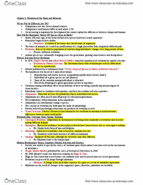 PSYC 280 Lecture Notes - Lecture 4: Homo Erectus, Superior Colliculus, Australopithecine thumbnail