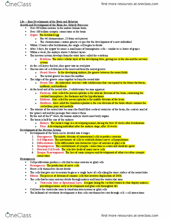 PSYC 280 Lecture Notes - Lecture 3: Myocyte, Neurotrophin, Impulsivity thumbnail