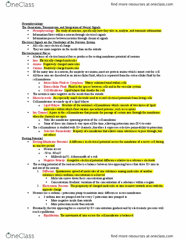 PSYC 280 Lecture Notes - Lecture 2: Bungarotoxin, Biological Neural Network, Electrophysiology thumbnail