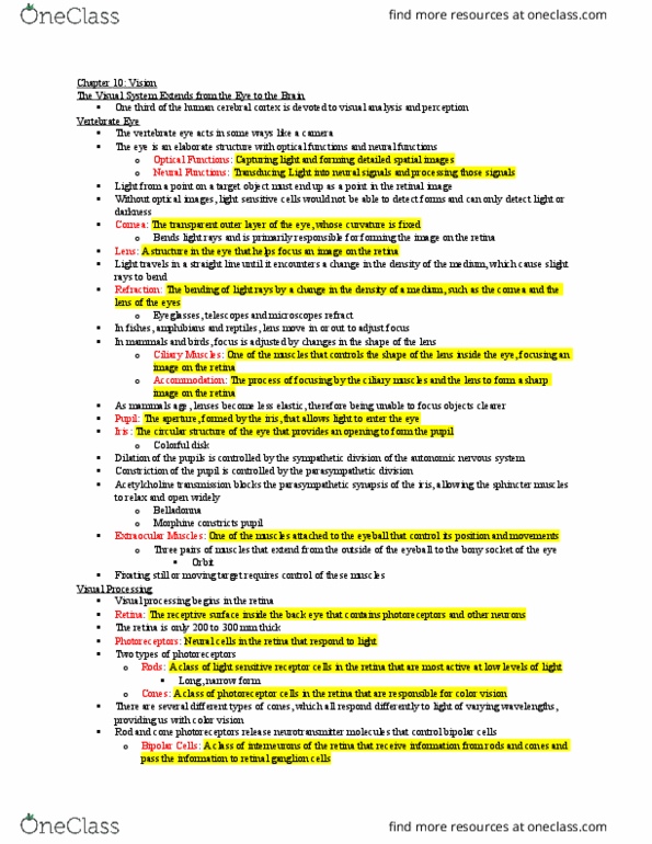 PSYC 280 Lecture Notes - Lecture 9: Illusory Contours, Fourier Analysis, Posterior Parietal Cortex thumbnail