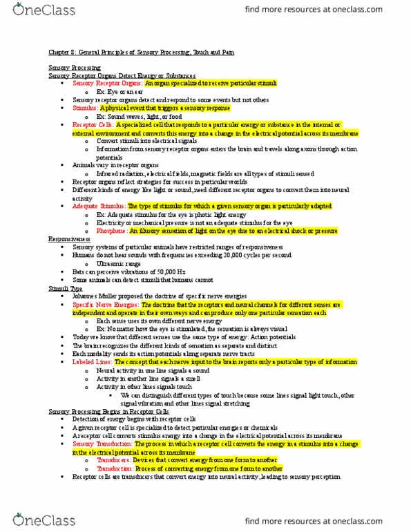 PSYC 280 Lecture Notes - Lecture 10: Parietal Lobe, Sensory Cortex, Middle Ear thumbnail