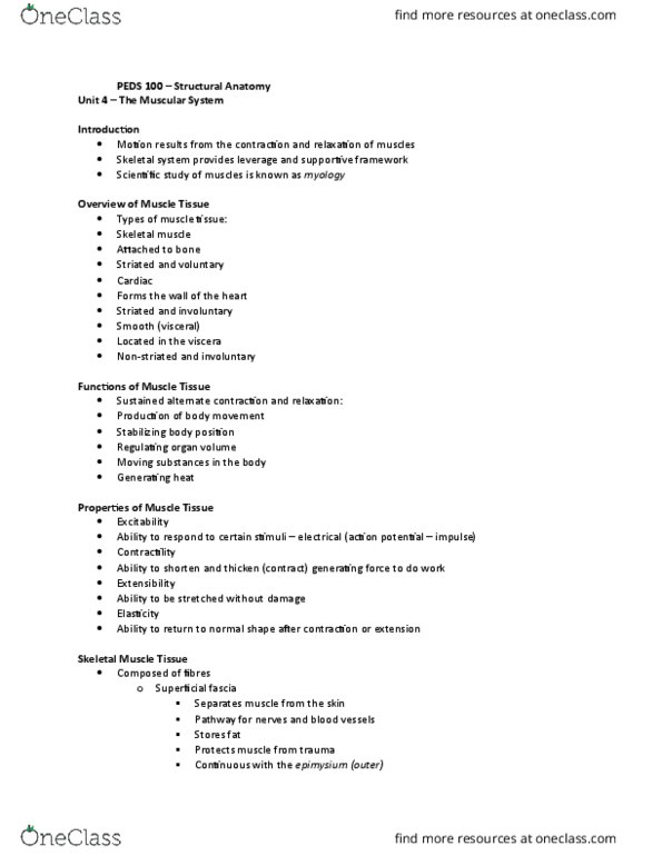 PEDS-100 Lecture Notes - Lecture 10: Erector Spinae Muscles, Tertius Of Iconium, Platysma Muscle thumbnail