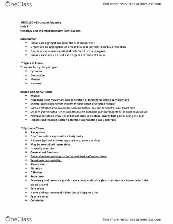 PEDS-100 Lecture Notes - Lecture 7: Elastic Cartilage, Spasm, Hyaline Cartilage thumbnail