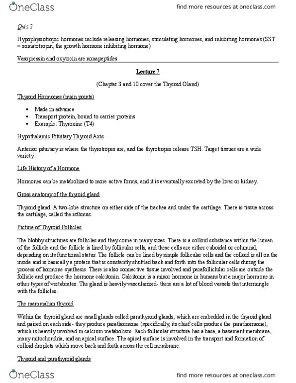 11:067:450 Lecture Notes - Lecture 7: Thyroid Hormone Receptor, Thyroxine-Binding Globulin, Thyroid thumbnail