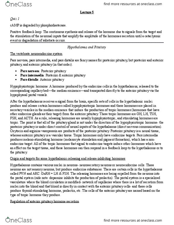 11:067:450 Lecture Notes - Lecture 5: Pars Intermedia, Posterior Pituitary, Pituitary Gland thumbnail