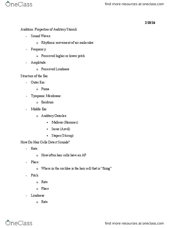 PSY 201 Lecture Notes - Lecture 4: Hair Cell, Ossicles, Cochlea thumbnail