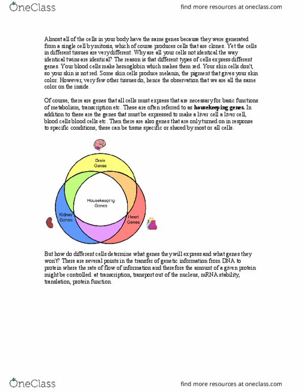 BIOL 112 Lecture Notes - Lecture 10: Tata-Binding Protein, Tata Box, Caat Box thumbnail