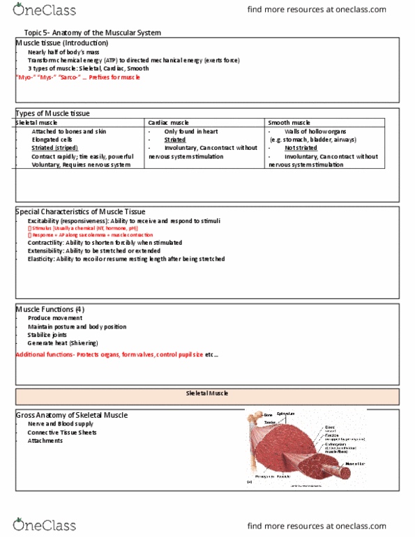 Valid 1z0-1106-1 Exam Guide