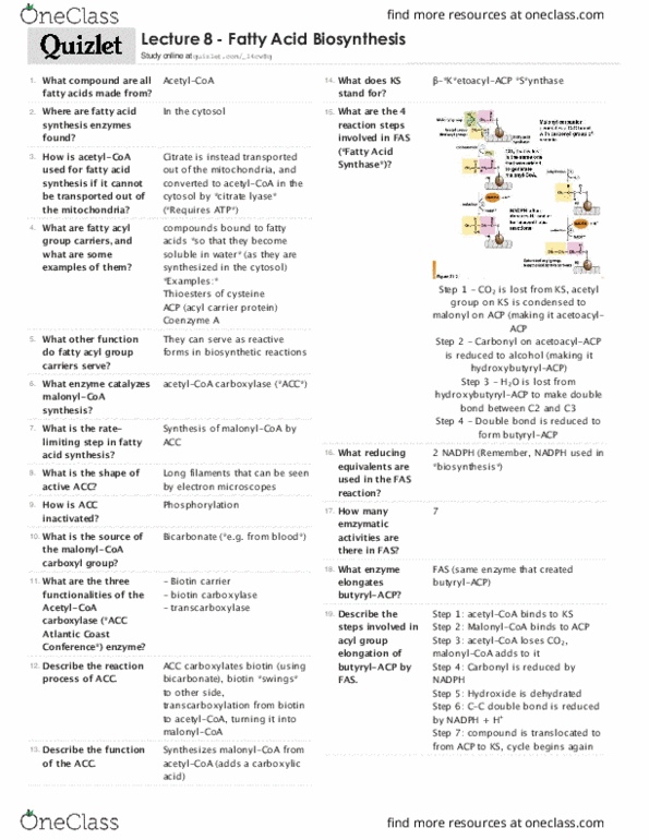 BIOC 3300 Lecture Notes - Lecture 8: Acyl Carrier Protein, Acetyl-Coa, Carboxylation thumbnail