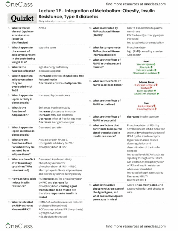 BIOC 3300 Lecture Notes - Lecture 19: Diabetes Mellitus Type 2, Adiponectin, Insulin Resistance thumbnail